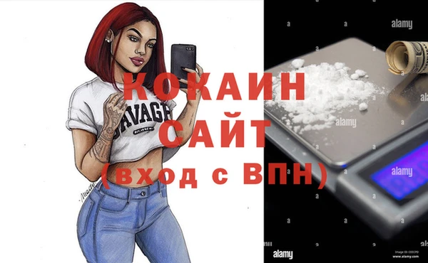 крисы Пересвет