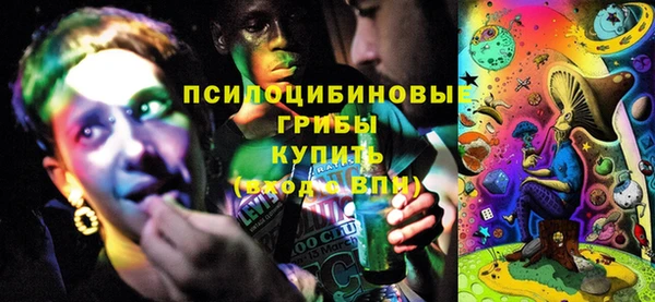 крисы Пересвет