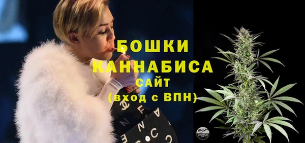 крисы Пересвет