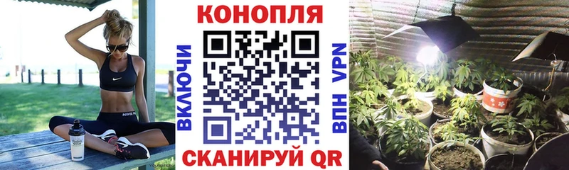 Бошки марихуана VHQ  купить   Остров 